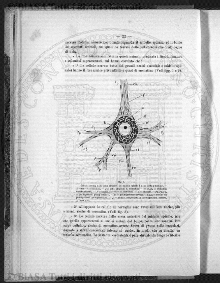 v. 3, n. 8 (1838-1839) - Pagina: 61