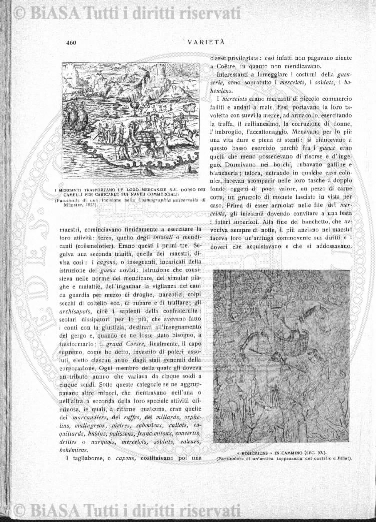 v. 8, n. 10 (1781-1782) - Pagina: 73