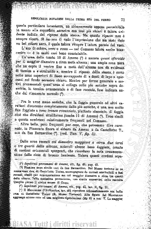 n.s., v. 1, n. 4 (1920) - Pagina: 49