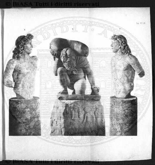 n. 11 (1882) - Pagina: 21