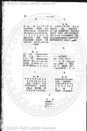 n. 11 (1911) - Pagina: 393