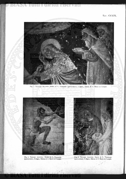 n. 36 (1882) - Frontespizio