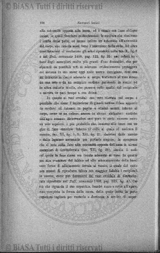 n. 3 (1923-1924) - Copertina: 1