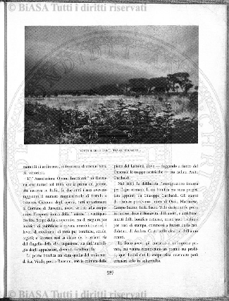 n. 5 (1923-1924) - Pagina: 193