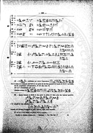 v. 24, n. 39 (1857-1858) - Pagina: 307