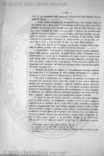 n. 1 (1919) - Copertina: 1