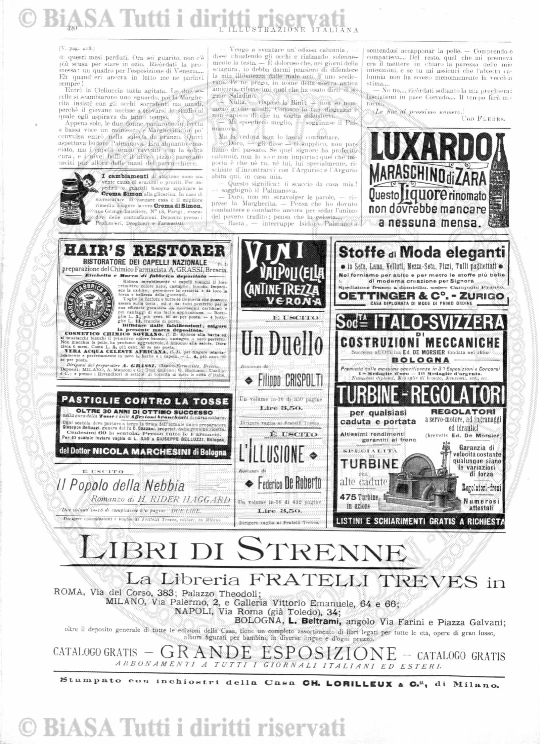 n. 11 (1904) - Pagina: 401