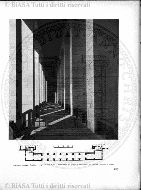 v. 5, n. 28 (1838-1839) - Pagina: 217