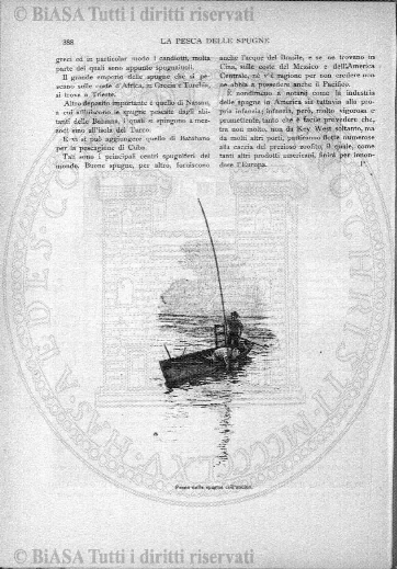n. 3a (1835) - Pagina: 17