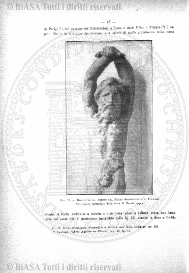 v. 22, n. 29 (1855-1856) - Pagina: 225