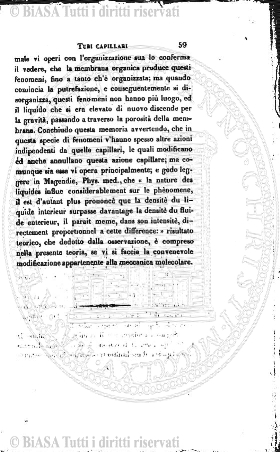 n.s., v. 11, parte 2 (1929-1930) - Occhietto