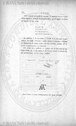 n. 7 (1887) - Pagina: 13