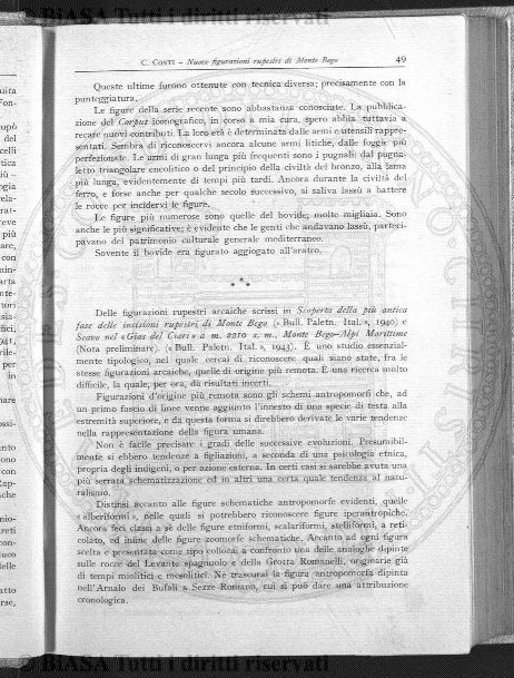 v. 23, n. 49 (1856-1857) - Pagina: 385