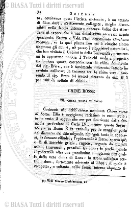n. 5-6 (1922-1923) - Pagina: 73 e sommario
