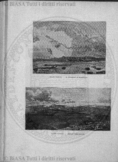 n. 38 (1883) - Pagina: 297