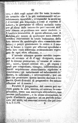 n. 8 (1924) - Copertina: 1