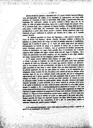 s. 3, v. 5, n. 13 (1880-1881) - Copertina: 1