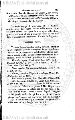 n. 58 (1875-1876) - Frontespizio e sommario