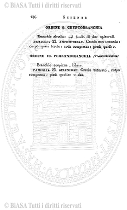 v. 21, n. 6 (1854-1855) - Pagina: 41