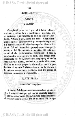 n. 3 (1924-1925) - Copertina: 1