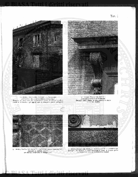 n. 7 (1904) - Pagina: 241