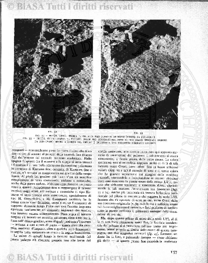 v. 6, n. 4 (1897) - Pagina: 49