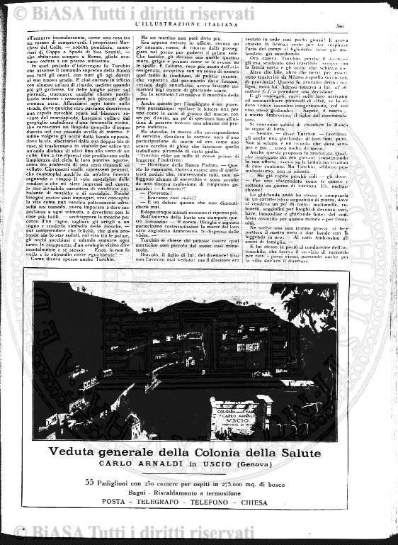 n. 8 (1917) - Copertina: 1