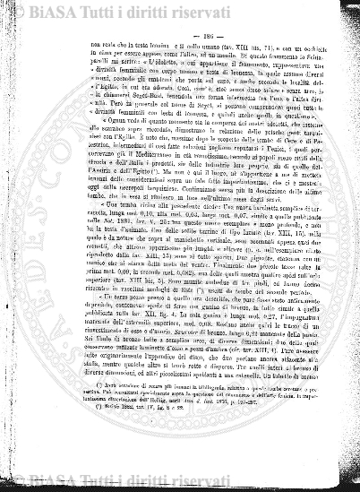 v. 5, n. 17 (1840-1841) - Pagina: 133