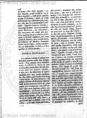 n. 2-3 (1882) - Pagina: 13