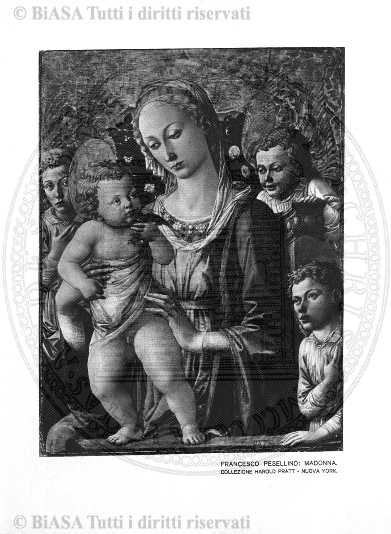 n. 26 (1891) - Frontespizio