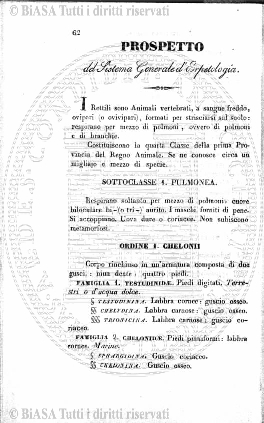 v. 1, n. 48 (1834-1835) - Pagina: 377