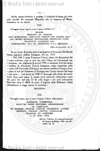 n. 4 (1877) - Pagina: 49