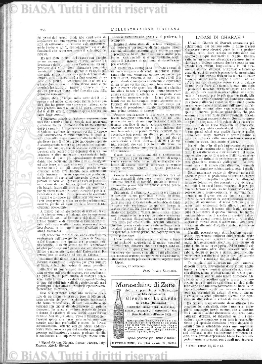 n. 7 (1920) - Copertina: 1