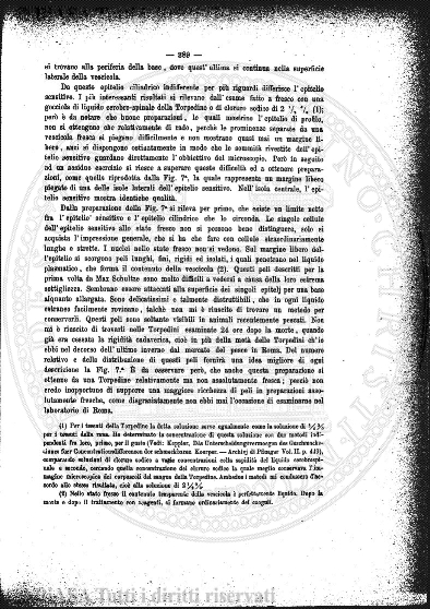 v. 7, n. 49 (1780-1781) - Pagina: 385