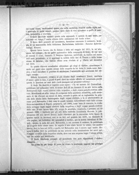 n. 31 (1928) - Frontespizio