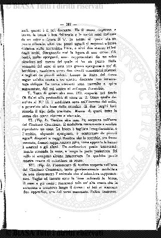 n. 28 (1886) - Pagina: 201 e sommario