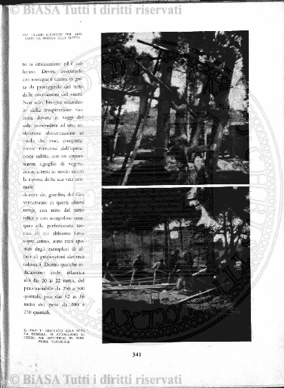 s. 4, n. 3 (1960) - Copertina: 1