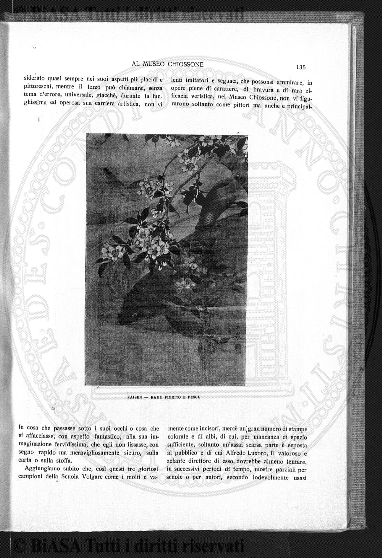 n. 49 (1883) - Frontespizio