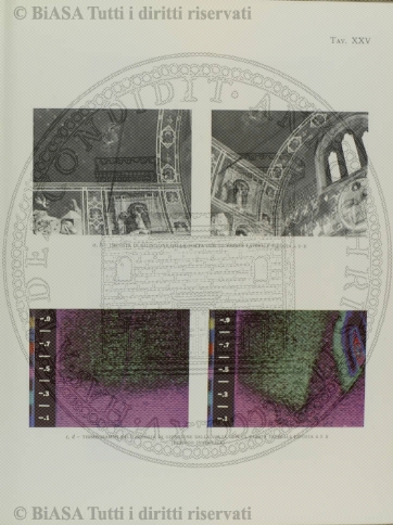 v. 1, n. 27 (1834-1835) - Pagina: 209