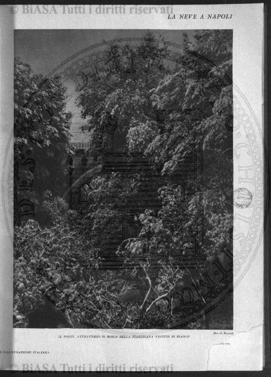 n. 1 (1883) - Pagina: 1 e sommario