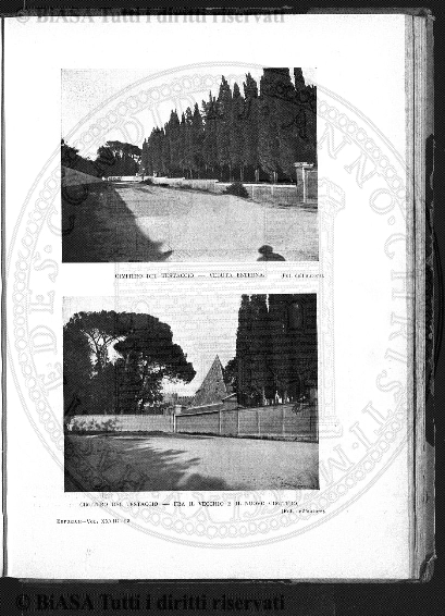 n. 12 (1885) - Pagina: 23