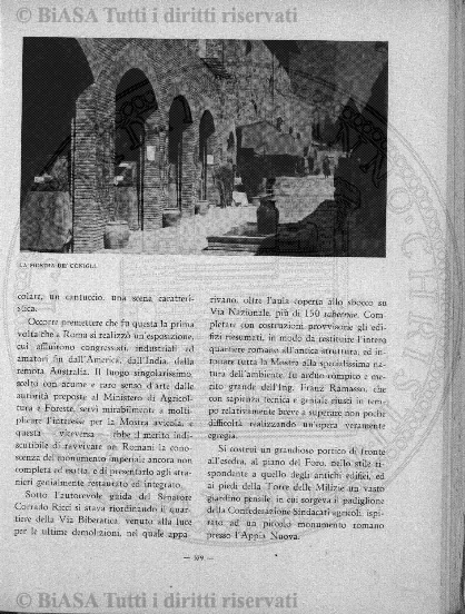v. 51, n. 301 (1920) - Copertina: 1
