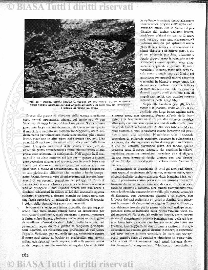 n. 10 (1913) - Copertina: 1