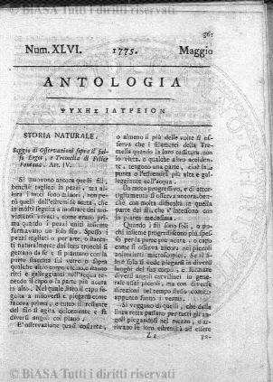 n. 3 (1899) - Pagina: 21