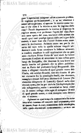 n. 7 (1886) - Pagina: 13