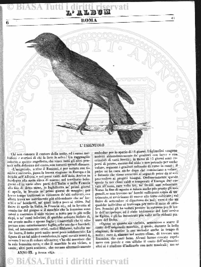 n. 7 (1899) - Pagina: 53