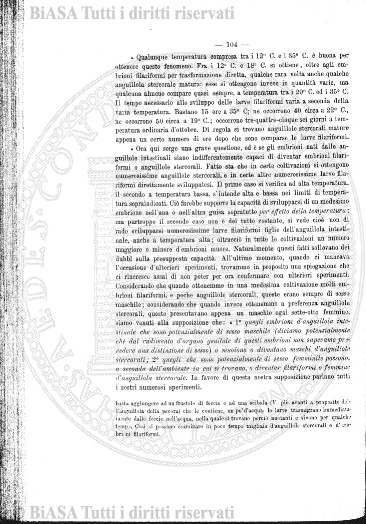 v. 21, n. 13 (1854-1855) - Pagina: 97
