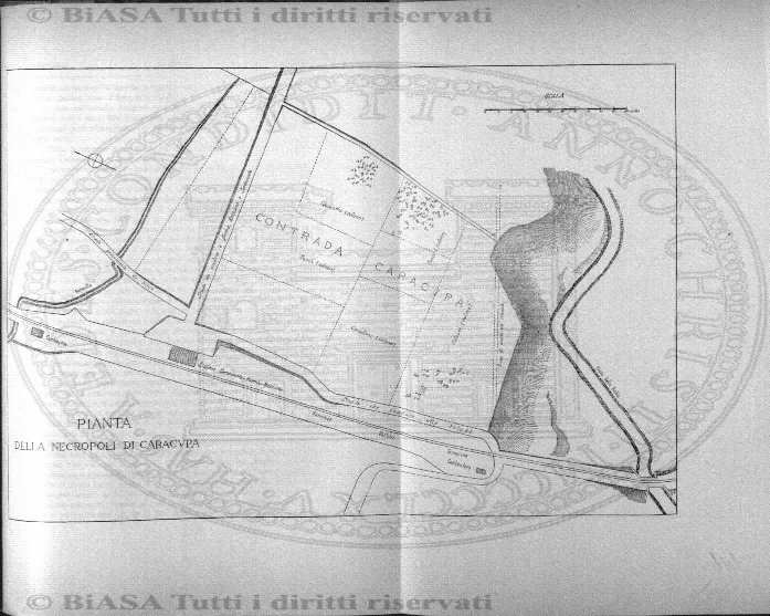 n. 5 (1874-1875) - Sommario: p. 33