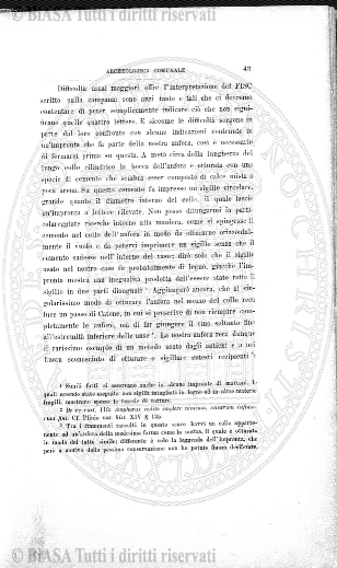 s. 3, n. 5 (1893) - Pagina: 65