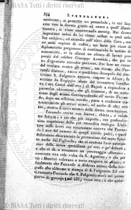 s. 2, n. 10 (1893) - Pagina: 217